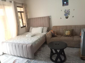 Homely studio Apartment 2